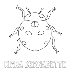 Online izdelana pobarvanka - Pobarvanka imena KIARA BERNADETTE in pobarvanka pikapolonice