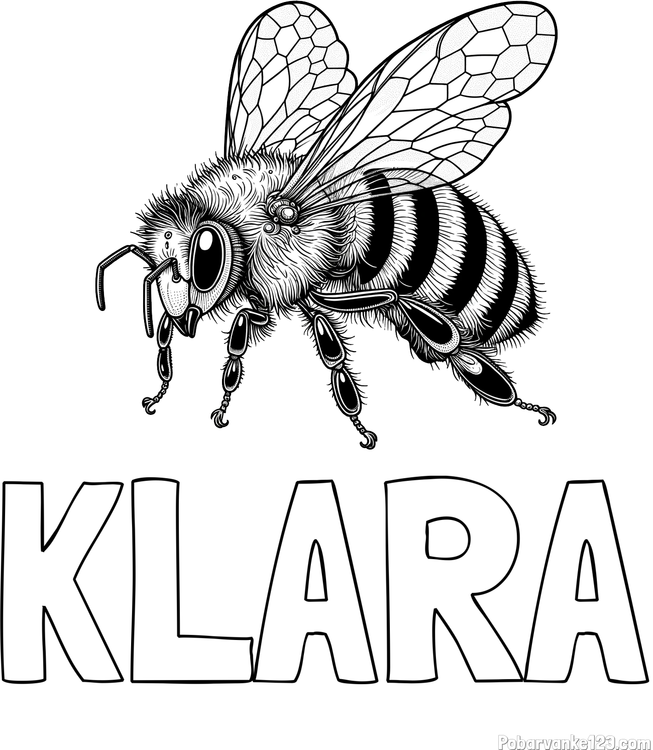 Pobarvanka imena KLARA in pobarvanka lepe in realistično oblikovane čebele