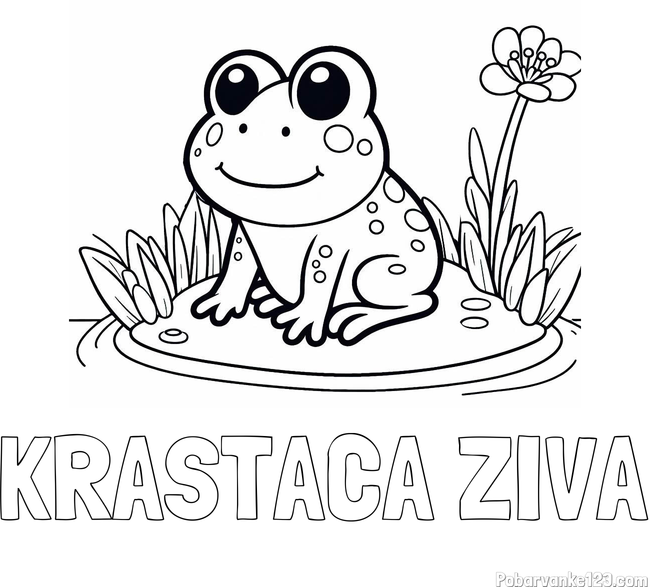 Pobarvanka imena KRASTAČA ŽIVA in pobarvanka žabe