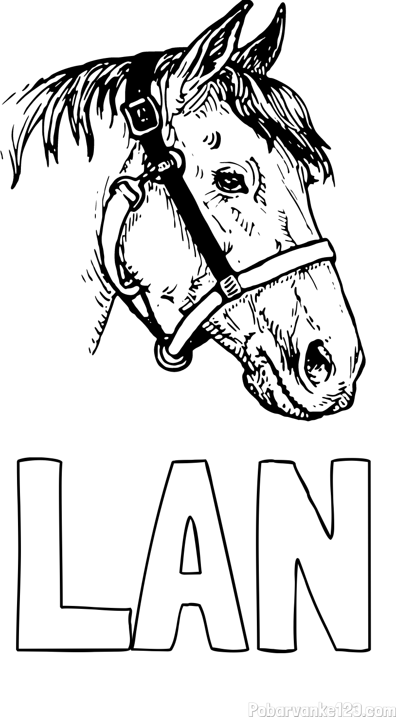 Pobarvanka imena LAN in konjska glava