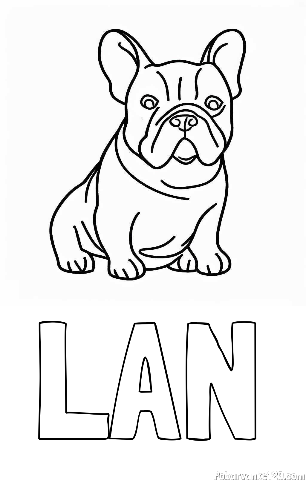 Pobarvanka imena LAN in pobarvanka francoskega buldoga