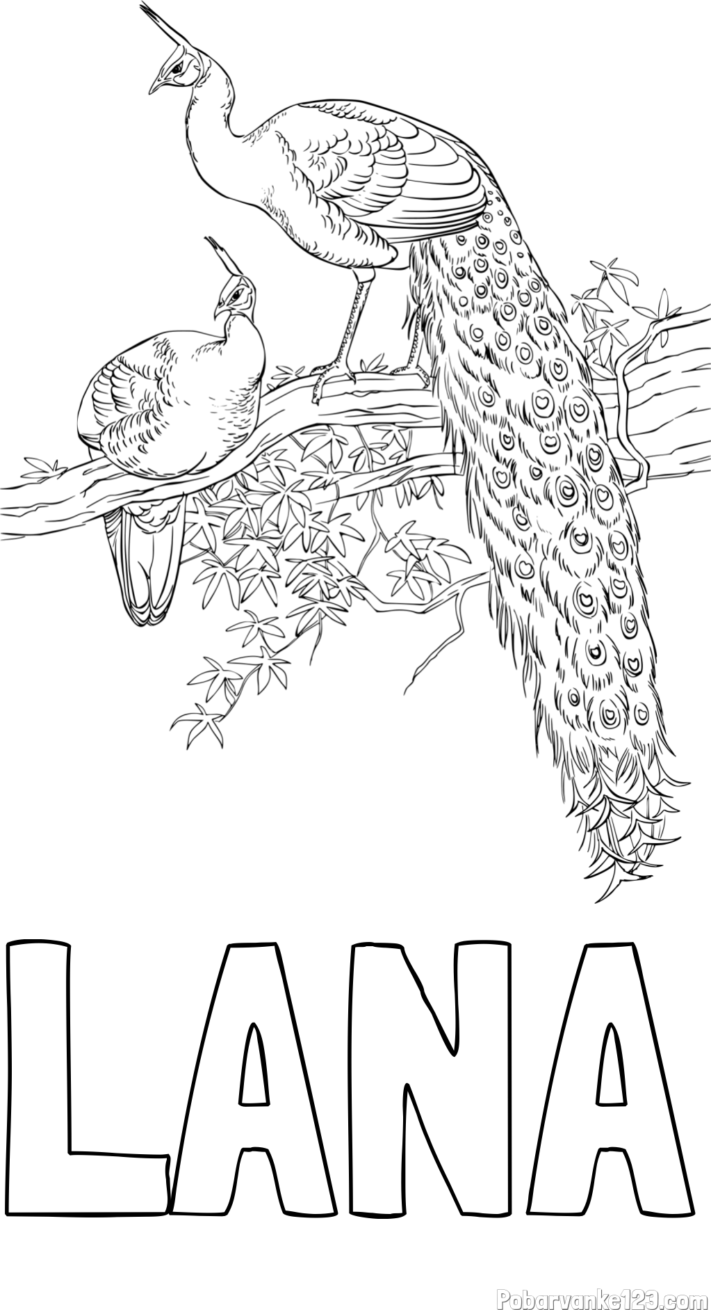 Pobarvanka imena LANA in pobarvanka pava