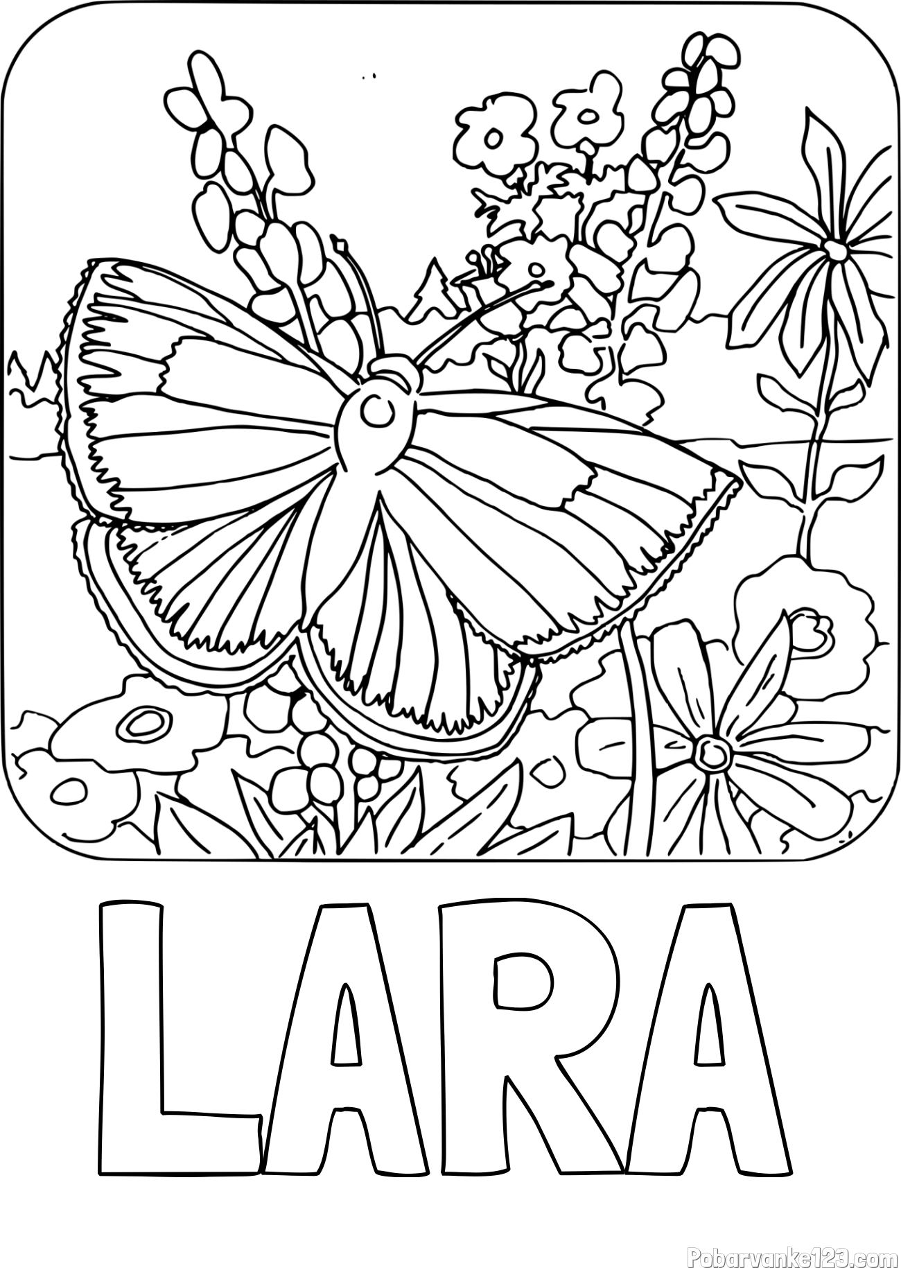 Pobarvanka imena LARA in pobarvanka metulja v naravi