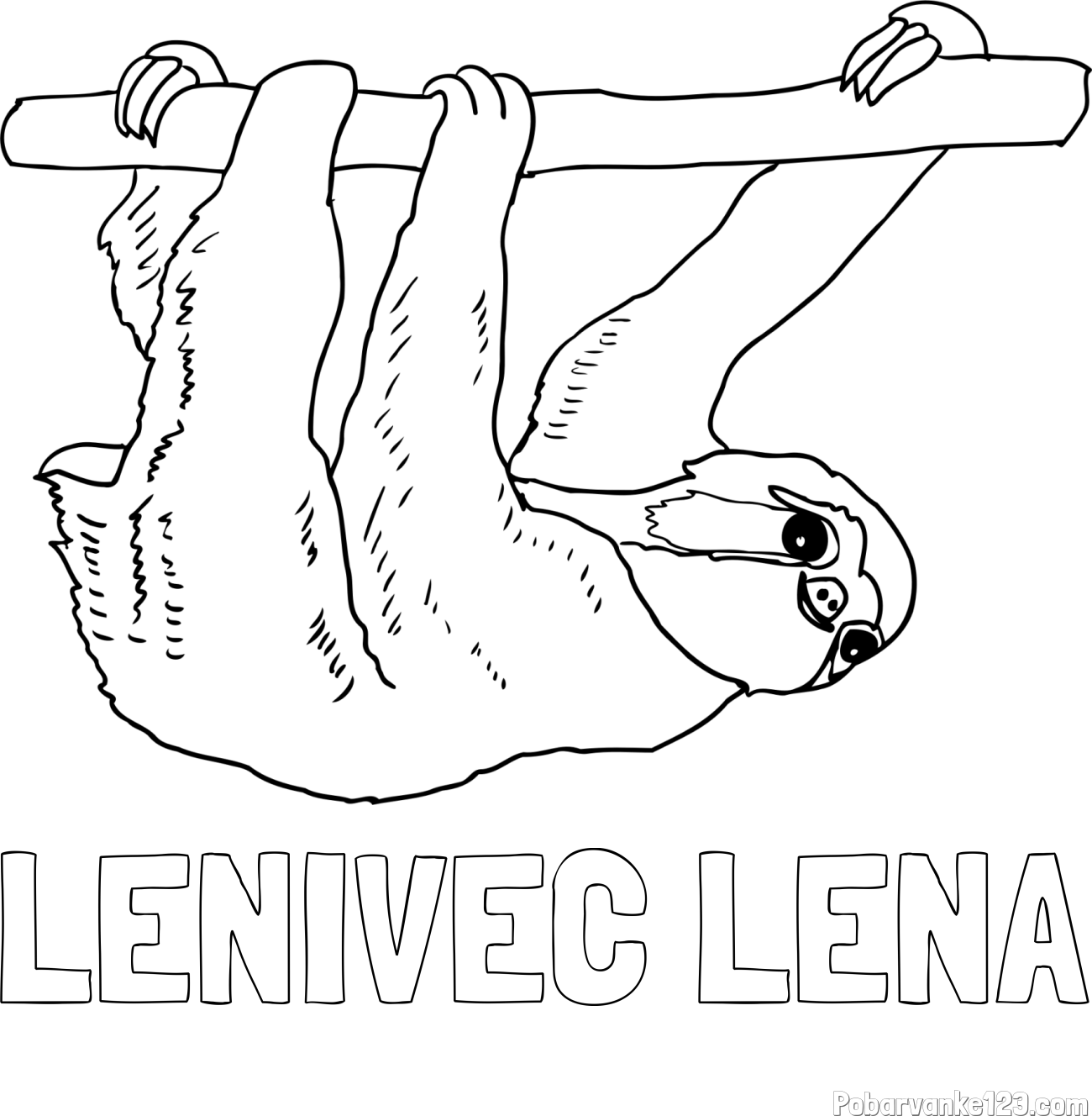 Pobarvanka imena LENIVEC LENA in pobarvanka lenivca