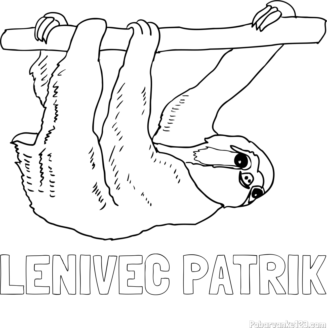 Pobarvanka imena LENIVEC PATRIK in pobarvanka lenivca