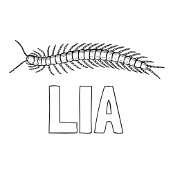 Online izdelana pobarvanka - Pobarvanka imena LIA in pobarvanka stonoge