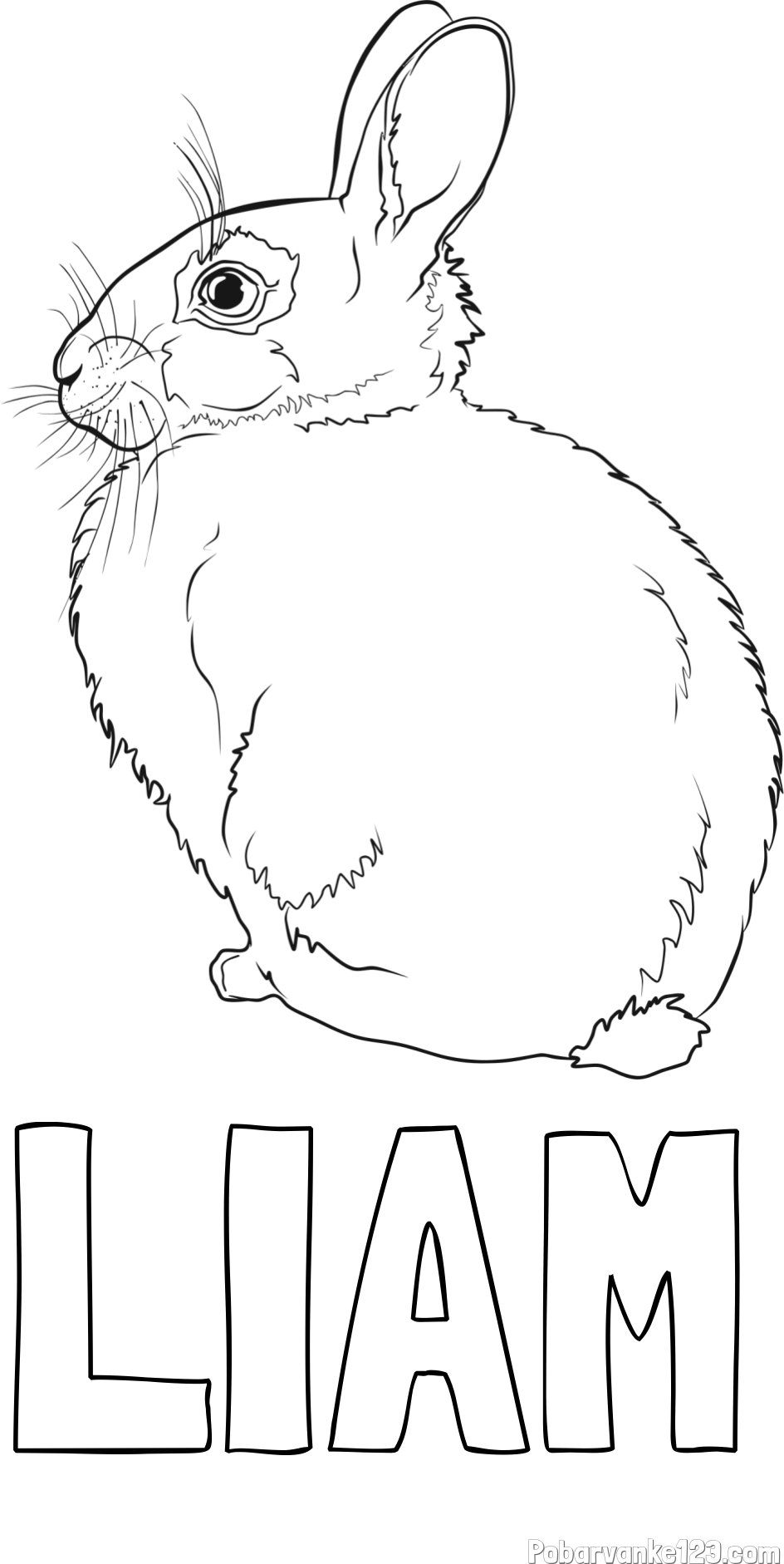 Pobarvanka imena LIAM in pobarvanka debelega zajca