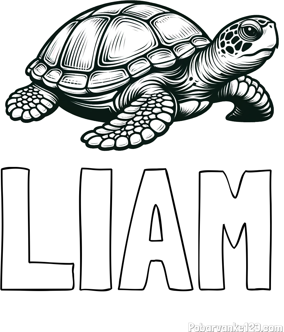 Pobarvanka imena LIAM in pobarvanka velike želve