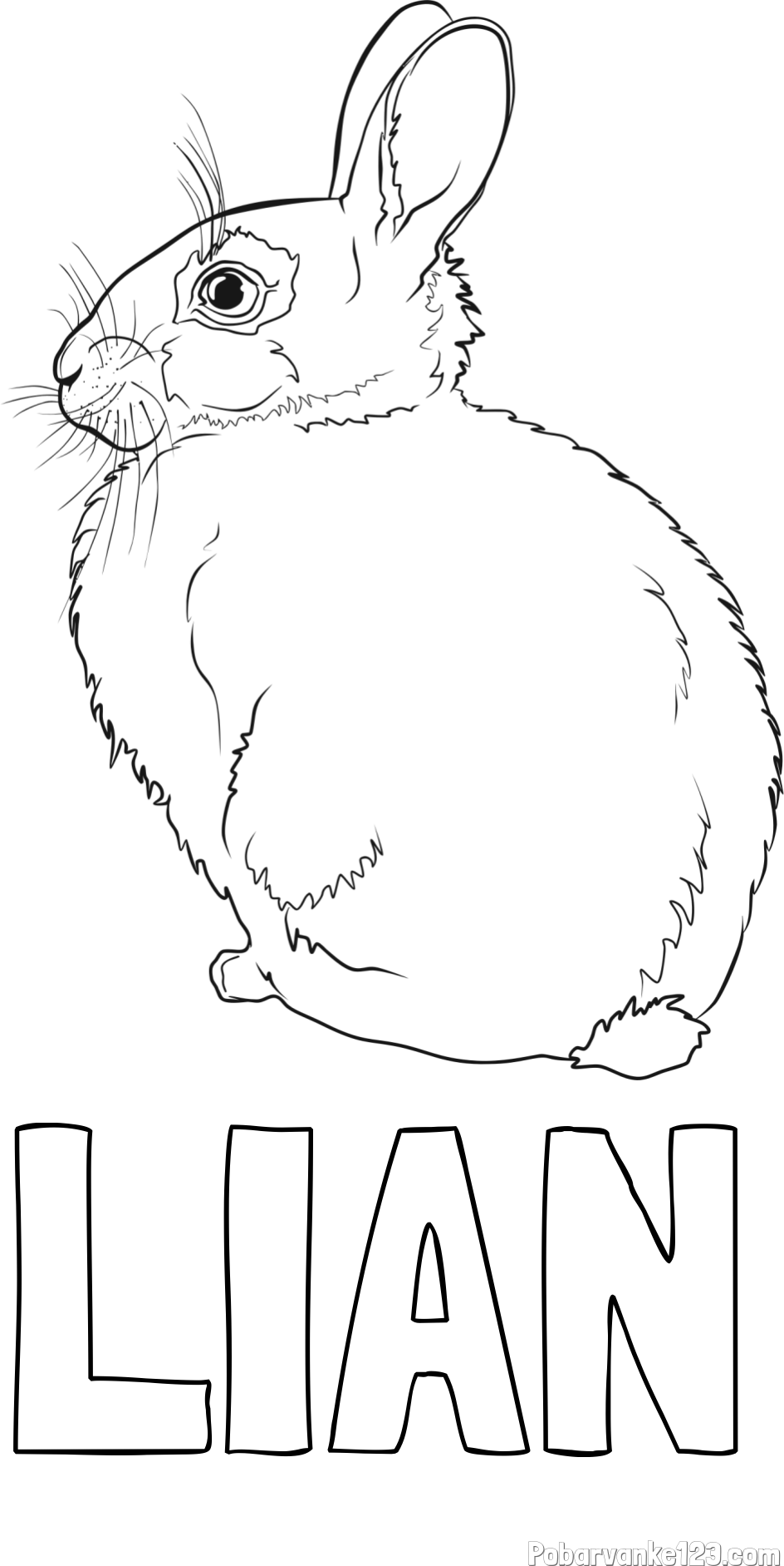 Pobarvanka imena LIAN in pobarvanka debelega zajca