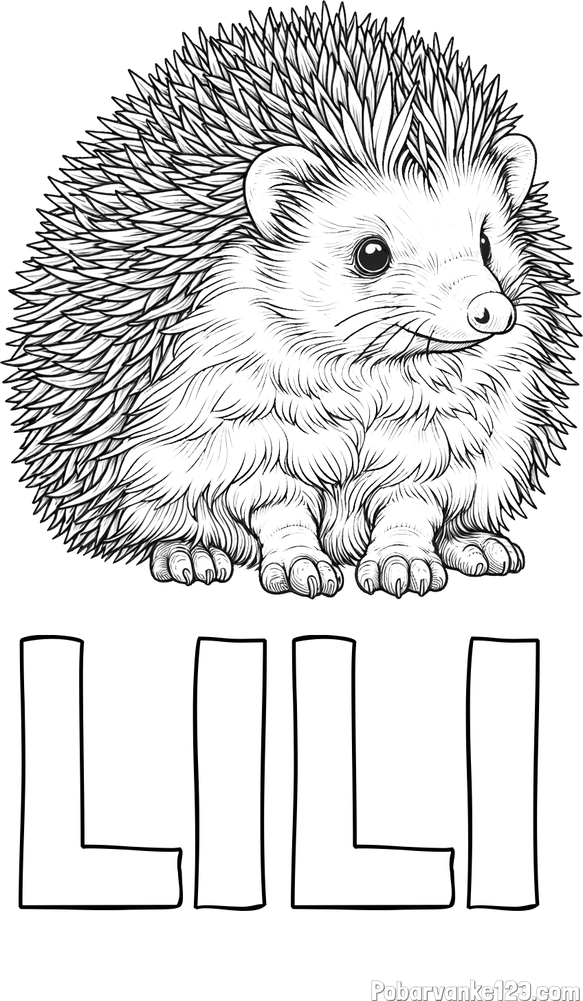 Pobarvanka imena LILI in pobarvanka nasmejanega ježa