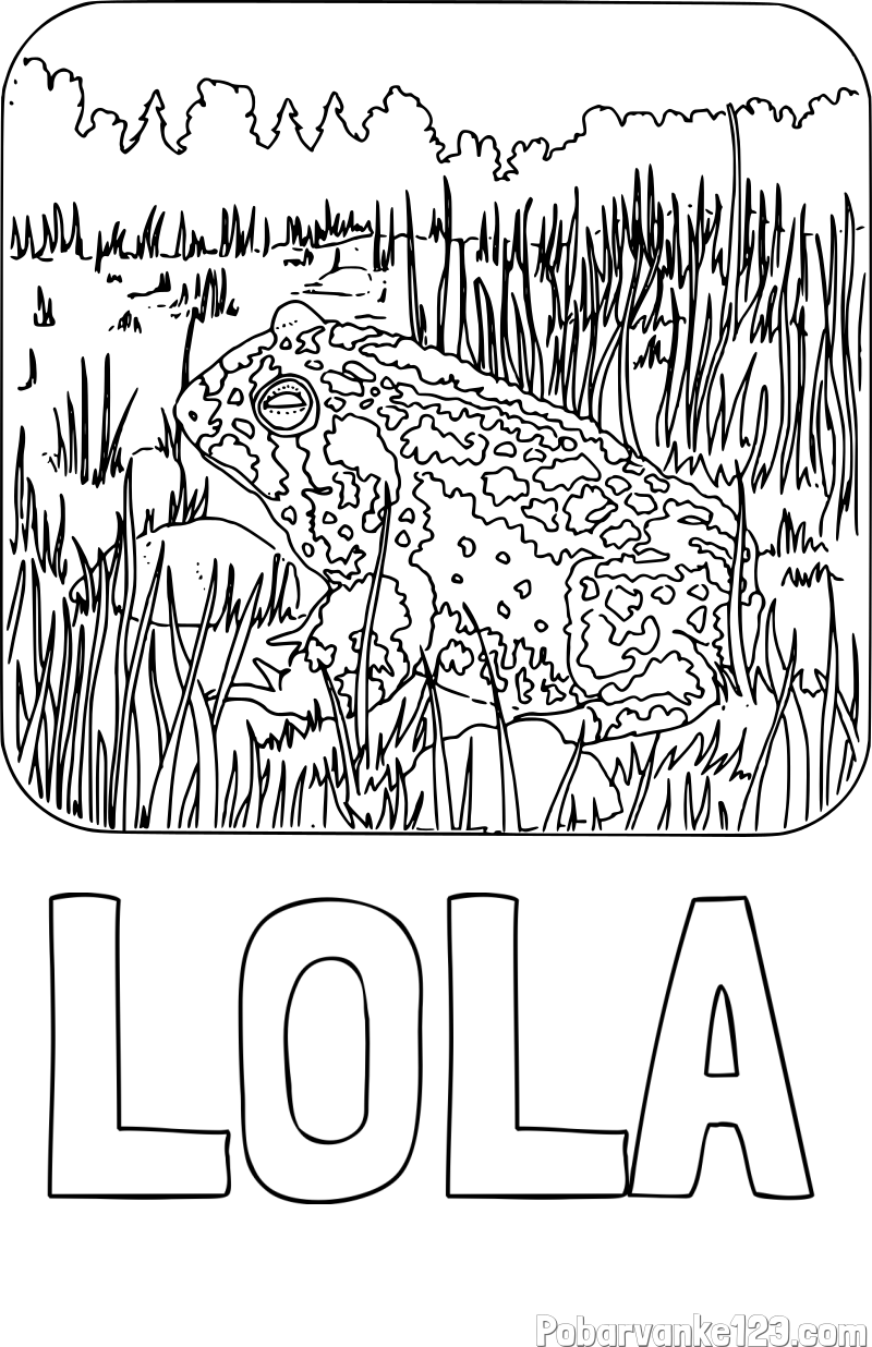 Pobarvanka imena LOLA in pobarvanka žabe