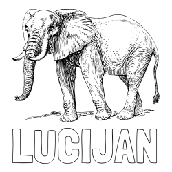Online izdelana pobarvanka - Pobarvanka imena LUCIJAN in pobarvanka mogočnega slona
