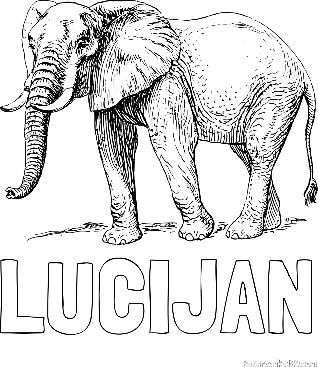 Pobarvanka imena LUCIJAN in pobarvanka mogočnega slona