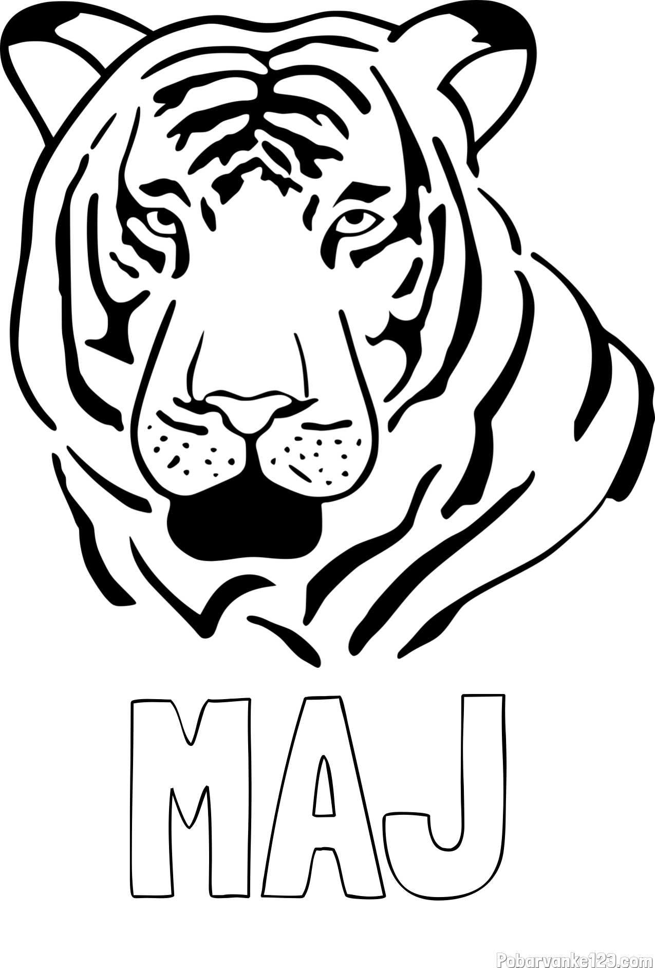 Pobarvanka imena MAJ in pobarvanka glave odraslega tigra
