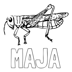 Online izdelana pobarvanka - Pobarvanka imena MAJA in pobarvanka kobilici