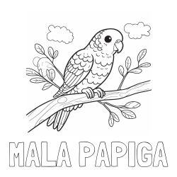 Online izdelana pobarvanka - Pobarvanka imena MALA PAPIGA in pobarvanka ljubkega kanarčka na veji