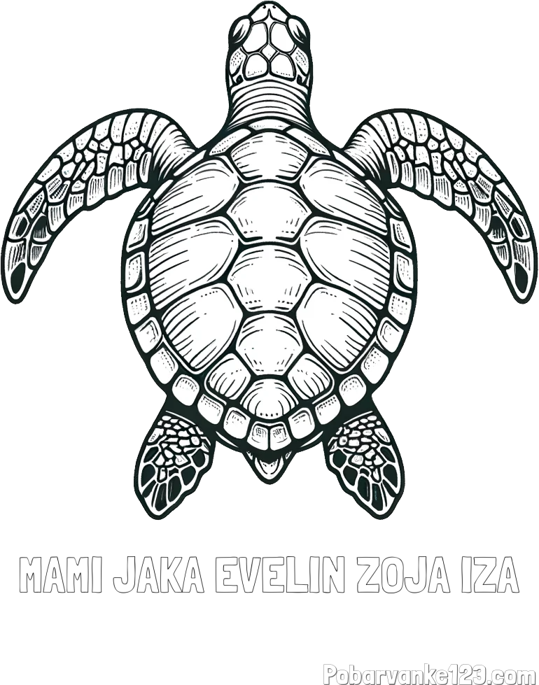 Pobarvanka imena MAMI JAKA EVELIN ZOJA IZA in enostavna pobarvanka želve