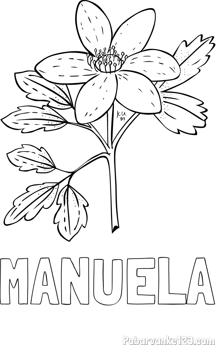 Pobarvanka imena MANUELA in pobarvanka marjetice