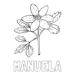 Online izdelana pobarvanka - Pobarvanka imena MANUELA in pobarvanka marjetice