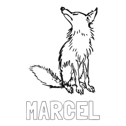 Online izdelana pobarvanka - Pobarvanka imena MARCEL in pobarvanka stare lisice