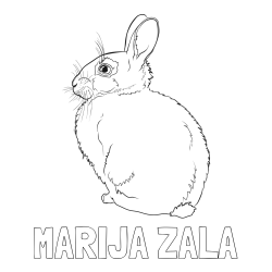 Online izdelana pobarvanka - Pobarvanka imena MARIJA ZALA in pobarvanka debelega zajca