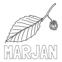 Online izdelana pobarvanka - Pobarvanka imena MARJAN in pobarvanka kostanja