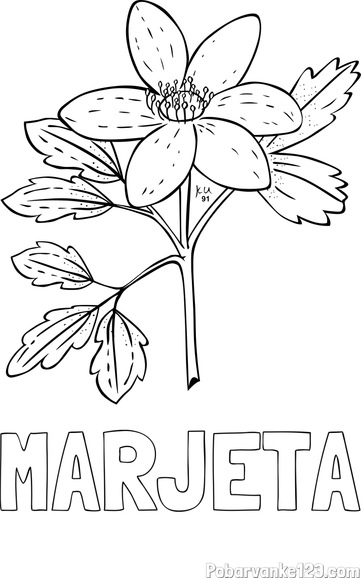 Pobarvanka imena MARJETA in pobarvanka marjetice