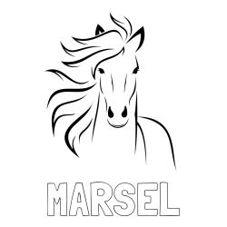 Online izdelana pobarvanka - Pobarvanka imena MARSEL in lepa pobarvanka konja