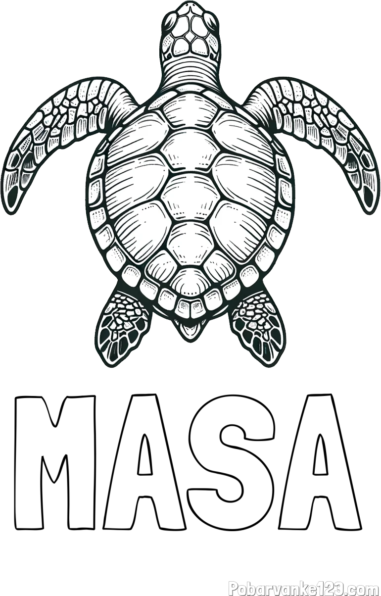 Pobarvanka imena MAŠA in enostavna pobarvanka želve
