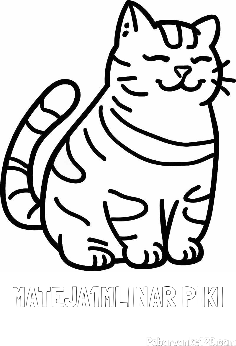 Pobarvanka imena MATEJA1MLINAR PIKI in pobarvanka debelušne mačke