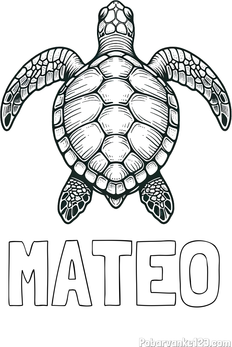 Pobarvanka imena MATEO in enostavna pobarvanka želve