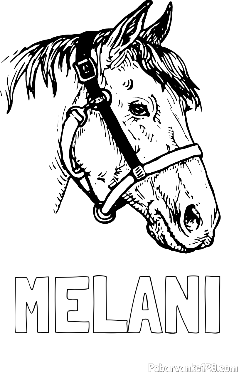 Pobarvanka imena MELANI in konjska glava