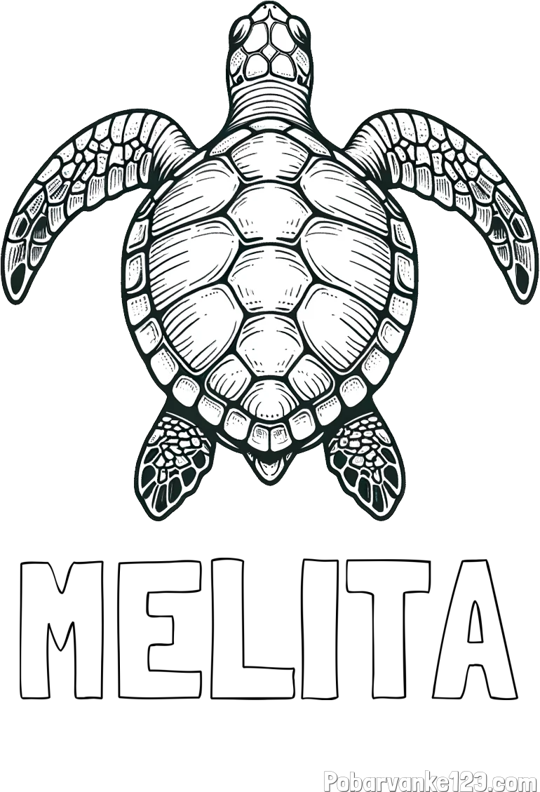Pobarvanka imena MELITA in enostavna pobarvanka želve