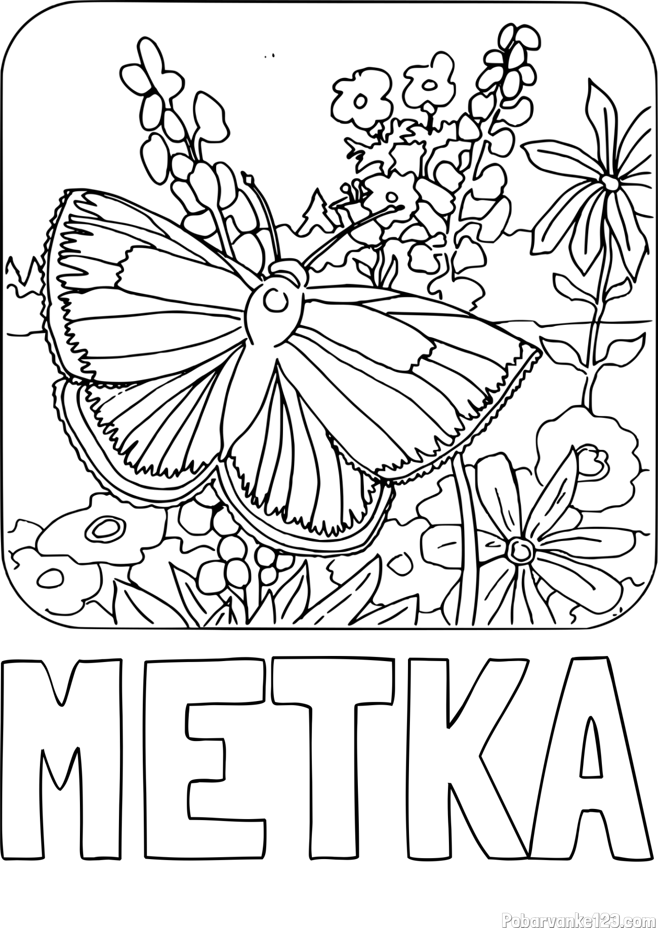 Pobarvanka imena METKA in pobarvanka metulja v naravi
