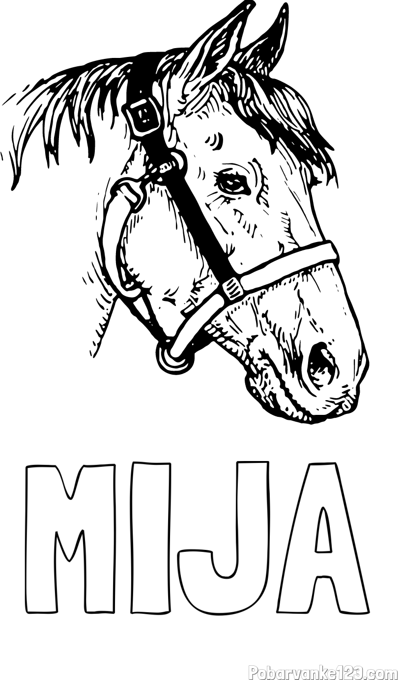 Pobarvanka imena MIJA in konjska glava