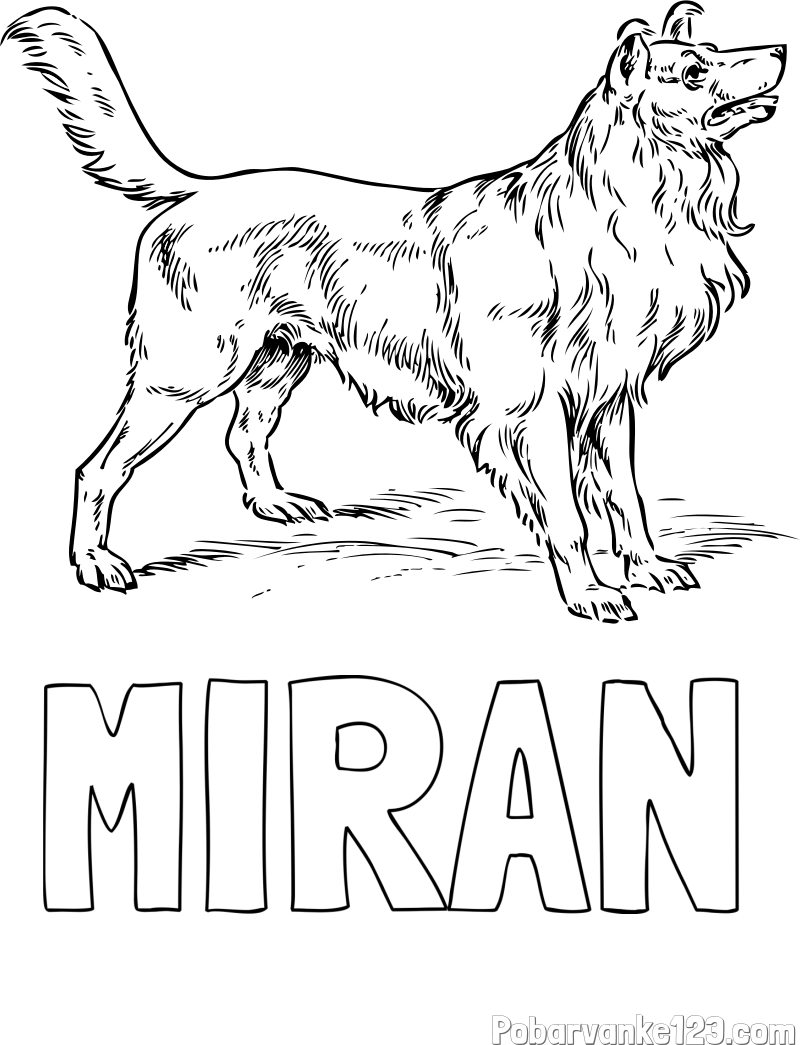 Pobarvanka imena MIRAN in pobarvanka prikupnega in prijaznega kužka