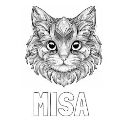 Pobarvanka imena Miša