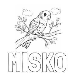 Online izdelana pobarvanka - Pobarvanka imena MIŠKO in pobarvanka ljubkega kanarčka na veji