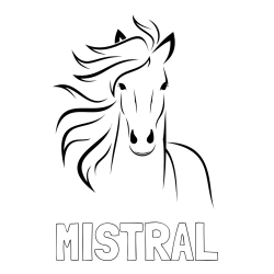 Online izdelana pobarvanka - Pobarvanka imena MISTRAL in lepa pobarvanka konja