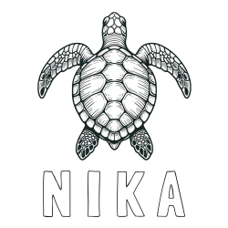 Online izdelana pobarvanka - Pobarvanka imena N I K A in enostavna pobarvanka želve