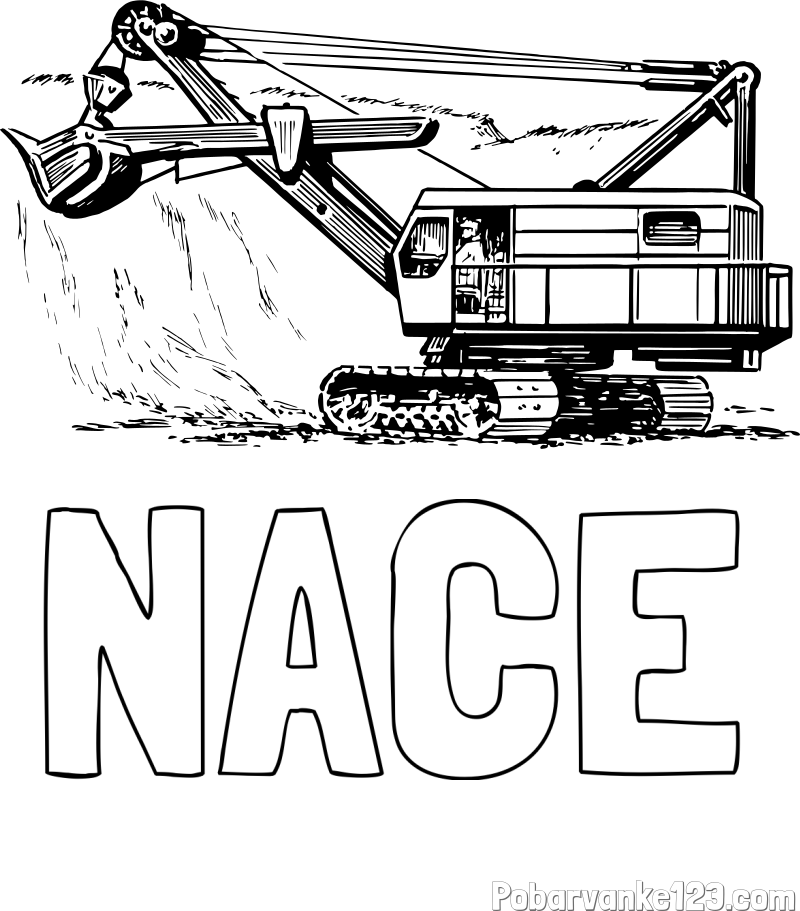 Pobarvanka imena NACE in pobarvanka bagra 2