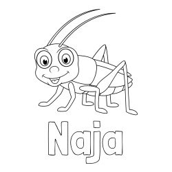 Pobarvanka imena Naja