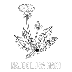 Online izdelana pobarvanka - Pobarvanka imena NAJBOLJŠA MAMI in pobarvanka regratove lučke
