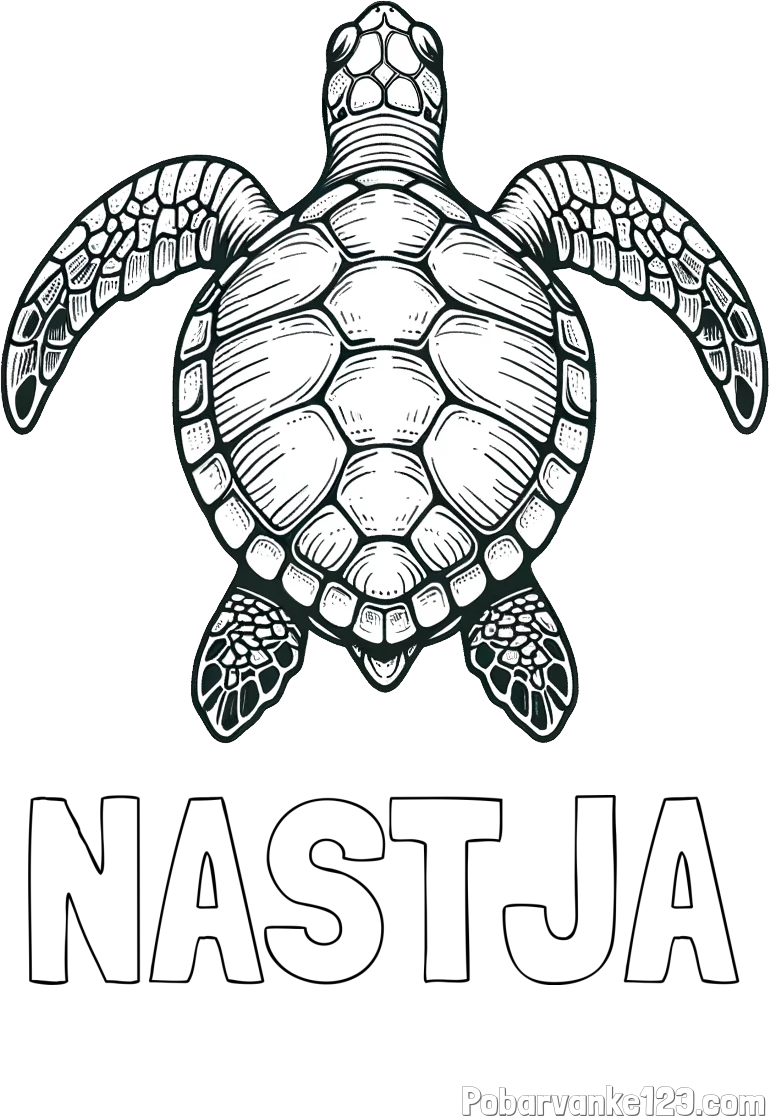Pobarvanka imena NASTJA in enostavna pobarvanka želve