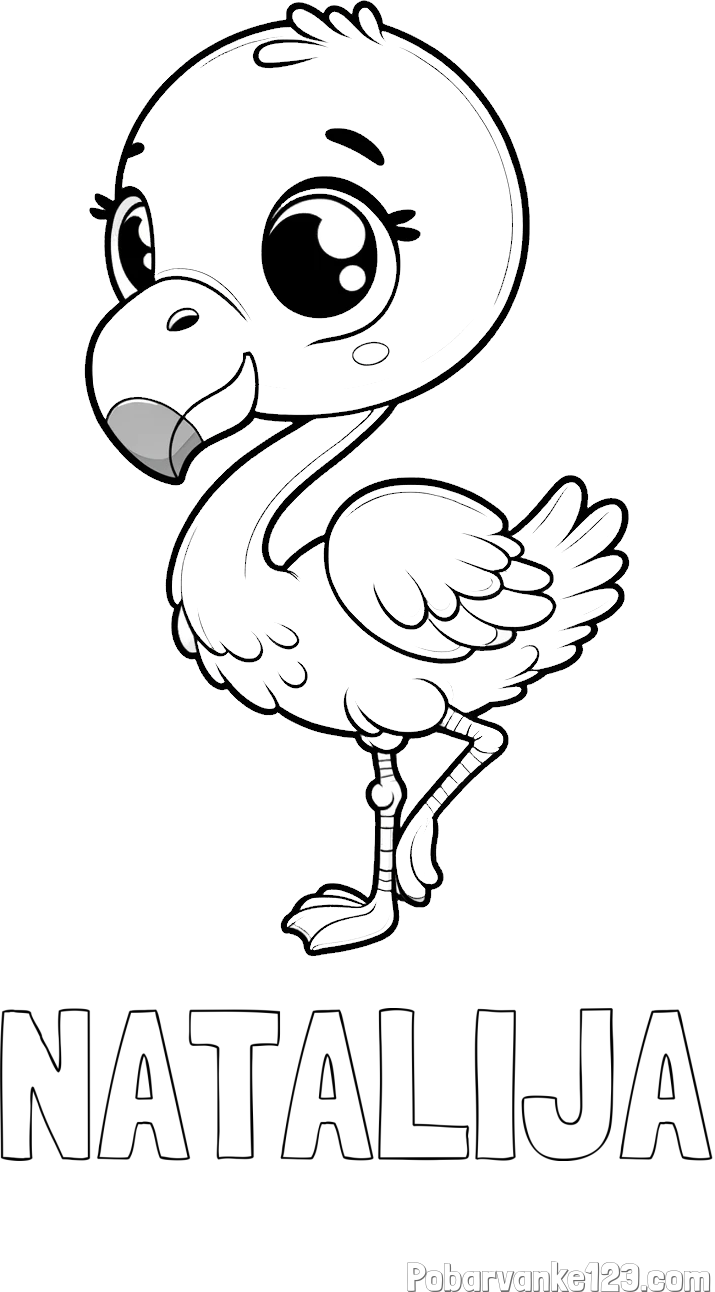Pobarvanka imena NATALIJA in otroška pobarvanka flaminga