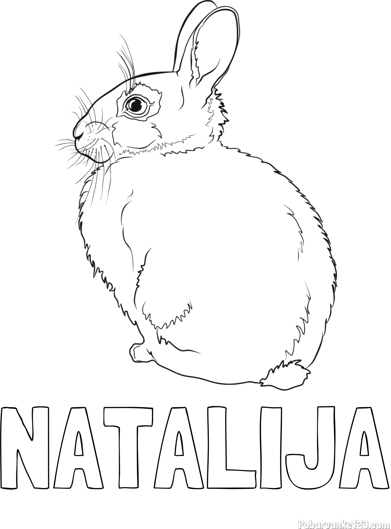 Pobarvanka imena NATALIJA in pobarvanka debelega zajca