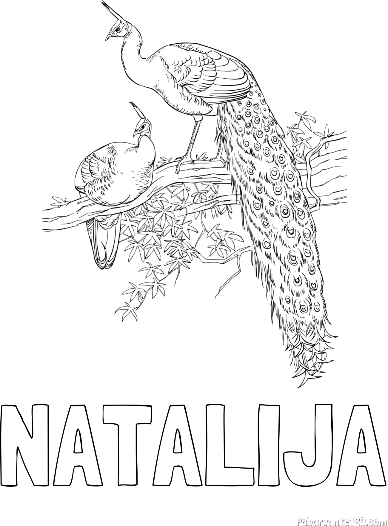 Pobarvanka imena NATALIJA in pobarvanka pava