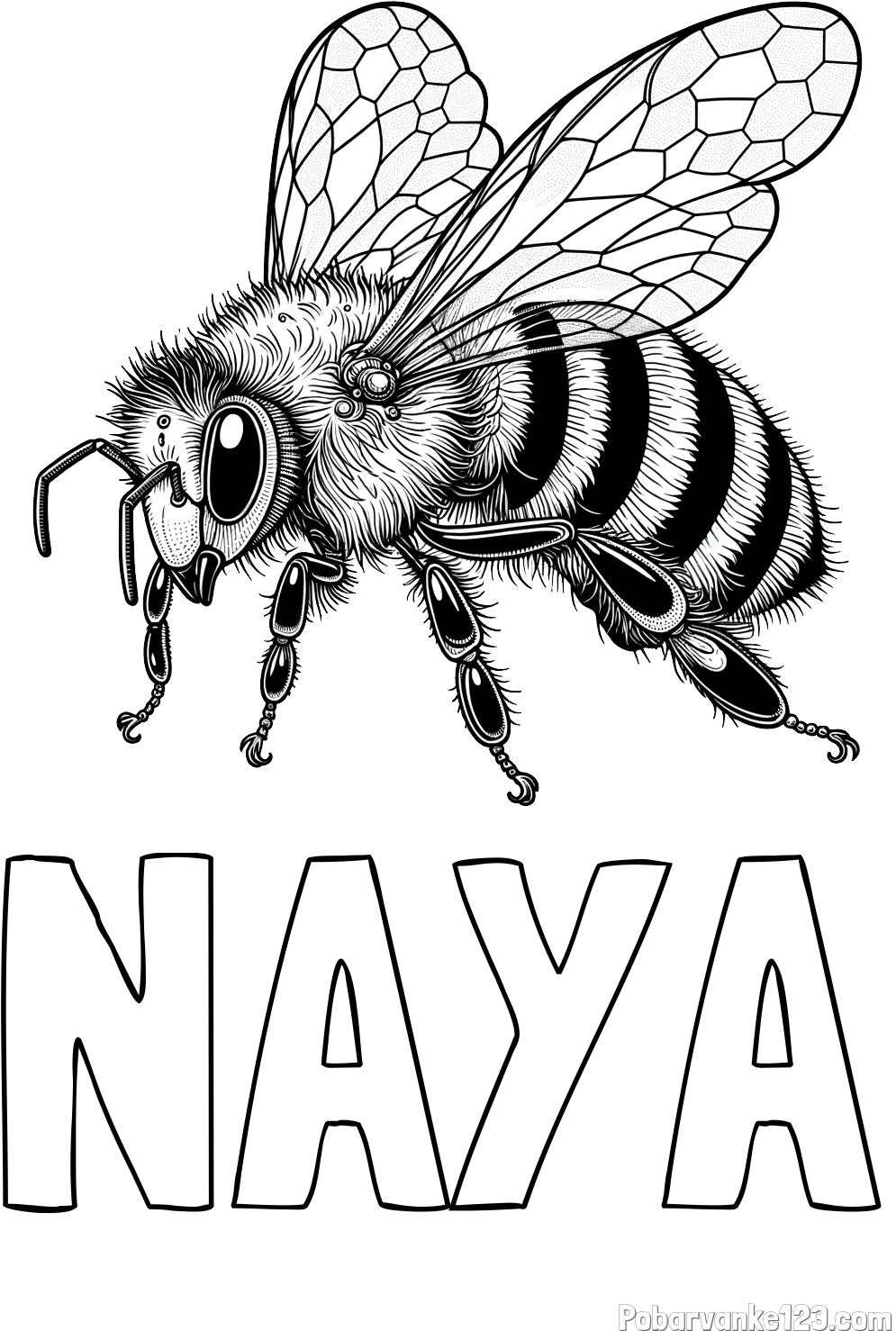 Pobarvanka imena NAYA in pobarvanka lepe in realistično oblikovane čebele