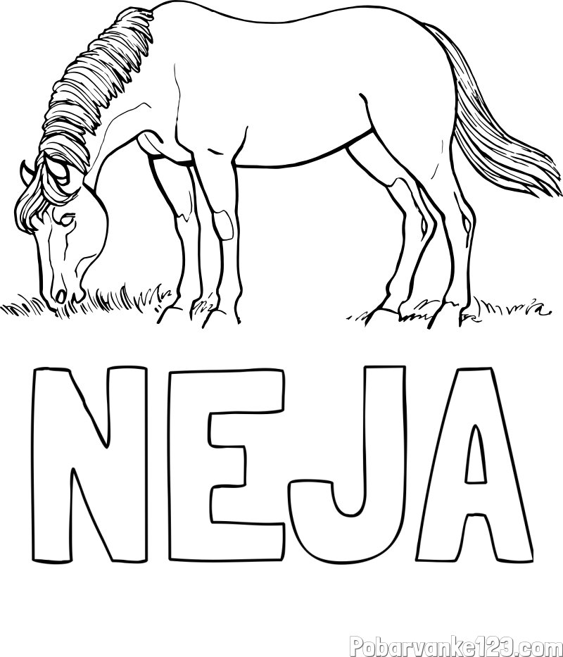 Pobarvanka imena NEJA in pobarvanka konja med pašo