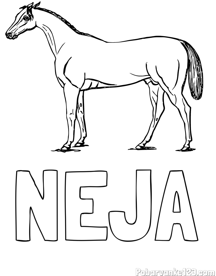 Pobarvanka imena NEJA in pobarvanka konja